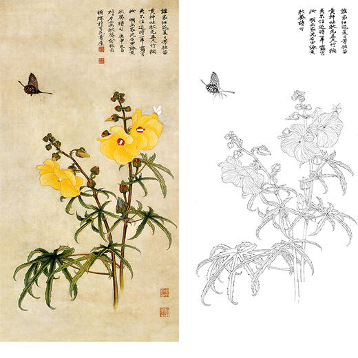 俞致贞竖幅工笔花鸟白描底稿-黄葵花蝴蝶-JV35 商品图0