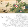 俞致贞横幅工笔花鸟白描底稿-荷花《舞风》-多种白描尺寸可选-JV31 商品缩略图0