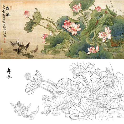 俞致贞横幅工笔花鸟白描底稿-荷花《舞风》-多种白描尺寸可选-JV31 商品图0