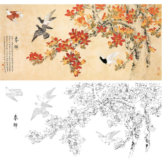 俞致贞横幅工笔花鸟白描底稿-鸽子木棉花《春晖》-多种白描尺寸可选-JV29 商品图0