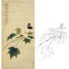 俞致贞竖幅工笔花鸟白描底稿-蝴蝶《芙蓉花开引蝶来》-多种白描尺寸可选-JV43 商品缩略图0
