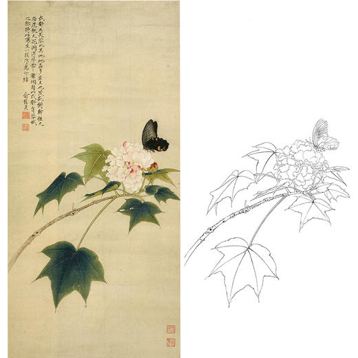 俞致贞竖幅工笔花鸟白描底稿-蝴蝶《芙蓉花开引蝶来》-多种白描尺寸可选-JV43 商品图0