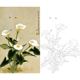 俞致贞竖幅工笔花鸟白描底稿《马蹄莲》-多种白描尺寸可选-JV41