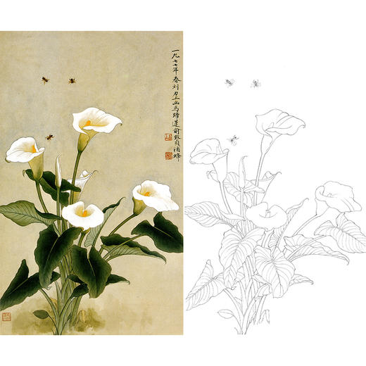 俞致贞竖幅工笔花鸟白描底稿《马蹄莲》-多种白描尺寸可选-JV41 商品图0