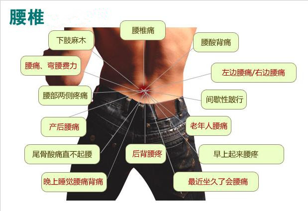 草道堂中草药~专克肩颈腰手脚关节疼痛 (120克/盒,敷膝盖约十次)