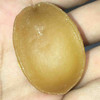 南港渔铺鲍鱼50-60头 （好）500g 商品缩略图1