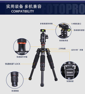 富图宝M-4C碳纤维三脚架 迷你便携支架 单反微单数码照相机三角架