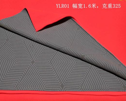 裁缝学苑AN德玛双面摇粒绒布料外套裤子冲锋衣棉服表布里布一米价 商品图1
