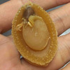 南港渔铺鲍鱼50-60头 （好）500g 商品缩略图2