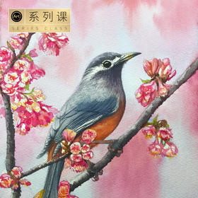 零基础【水彩花鸟】纪梵(咨询请加客服微信:v798556)
