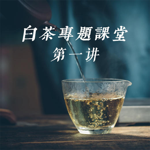 《初识白茶》——白茶专题课堂第一讲 商品图0