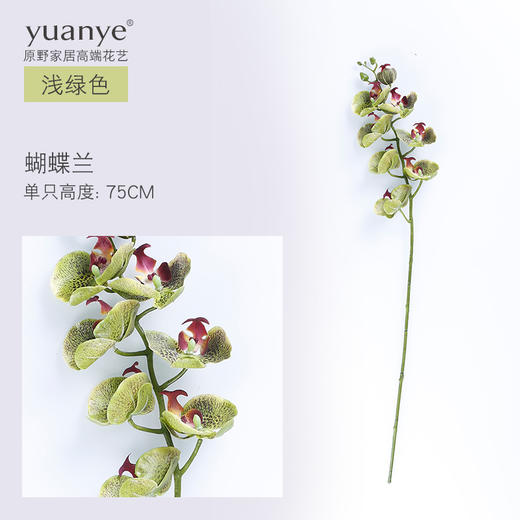 原野 自然风花艺仿真花假花套装 客厅电视柜装饰花艺花瓶摆件 商品图8