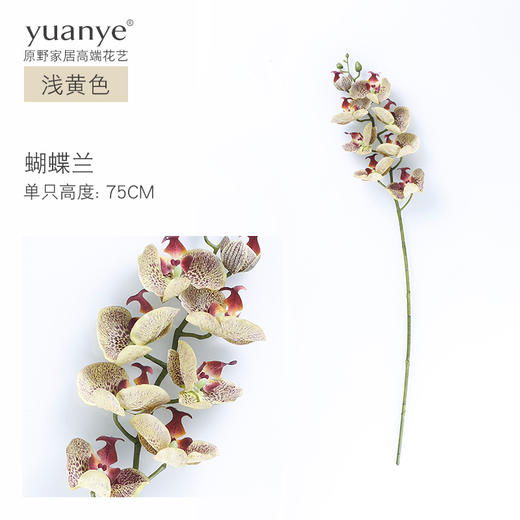 原野 自然风花艺仿真花假花套装 客厅电视柜装饰花艺花瓶摆件 商品图7