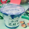 禾春元 新疆花园老酸奶 瓶/160G 商品缩略图1
