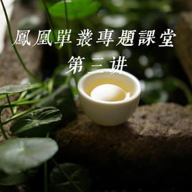 《“老枞”对比》——凤凰单丛专题课堂第三讲