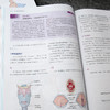 医学术语图解指南 第8版 （医学术语 医学英语 参考应试书 临床医生 实习医生 医学生 护士 护理院校学生） 商品缩略图3