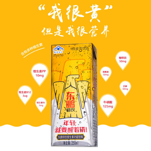 东鹏特饮维生素功能饮料250ML*6盒 商品图5