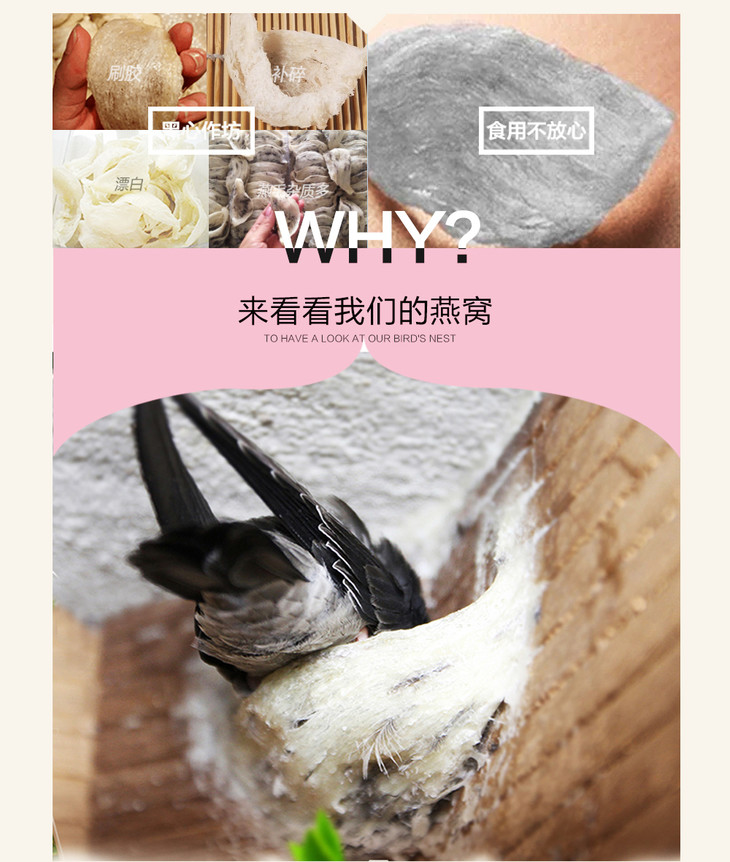 原材料选自世界著名的燕窝原料出产地——马来西亚沙捞越地区