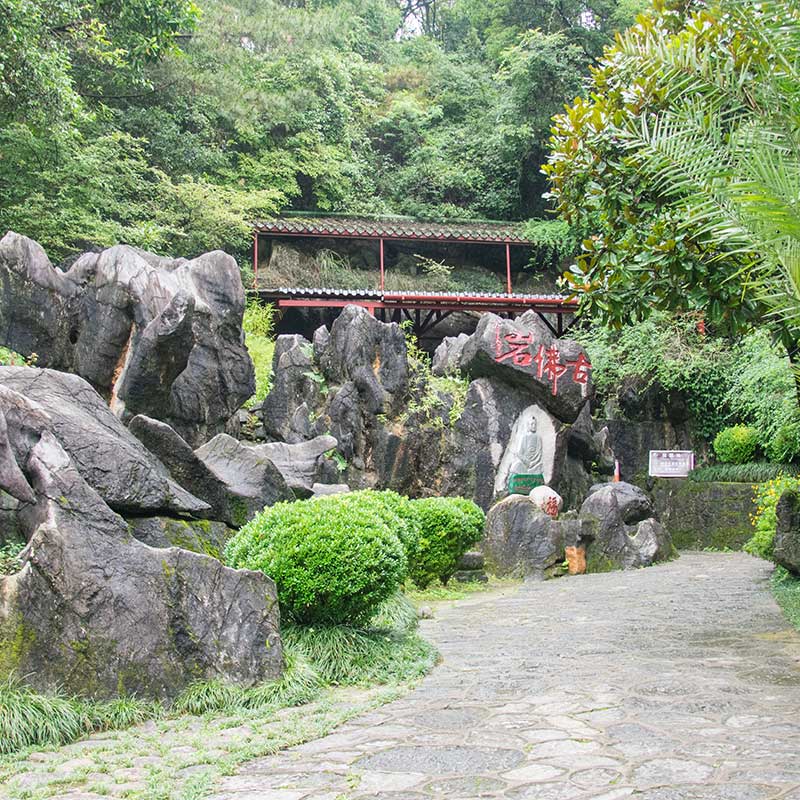 乐昌古佛岩景区 玻璃滑道票