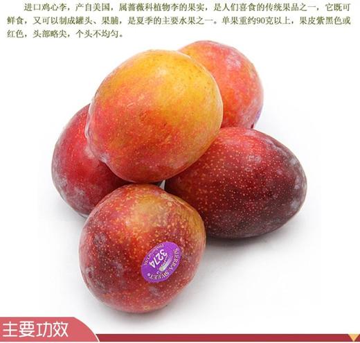 诺曦 商品图0