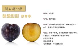 热带水果