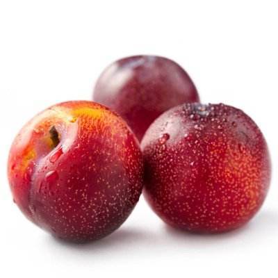 琼斯维格 商品图0
