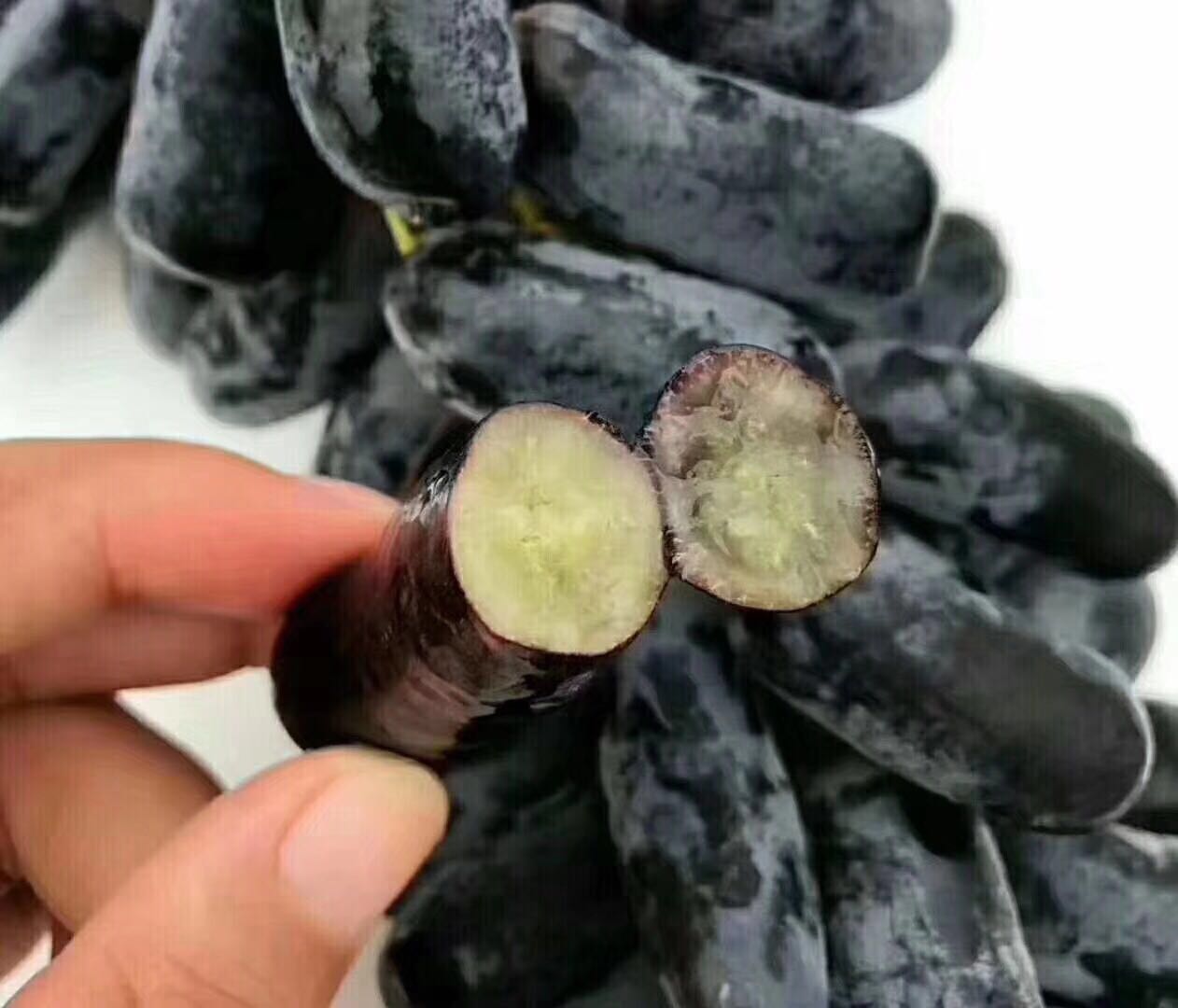 新西兰金手指葡萄2斤装