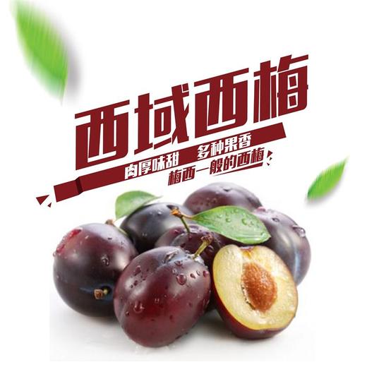 西梅 商品图0