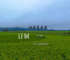 变身农场主 | 订制江达贡米园一亩地 · 约产250kg有机米