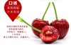 进口殷桃 商品缩略图3