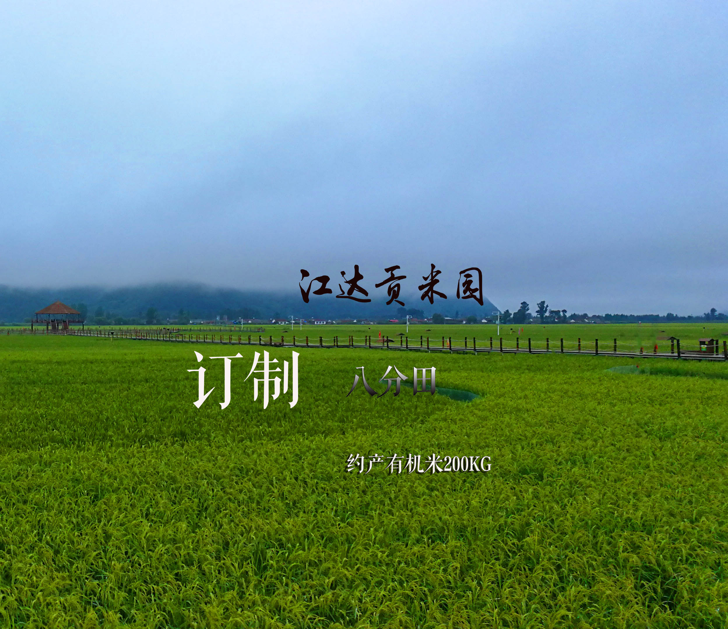变身农场主 | 订制江达贡米园八分田 · 约产200kg有机米