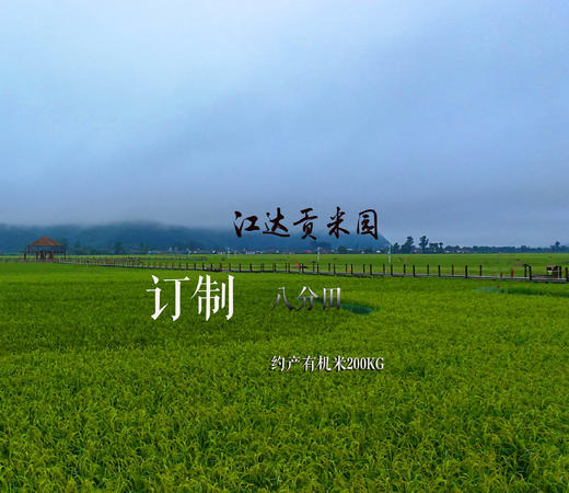 变身农场主 | 订制江达贡米园八分田 · 约产200kg有机米 商品图0
