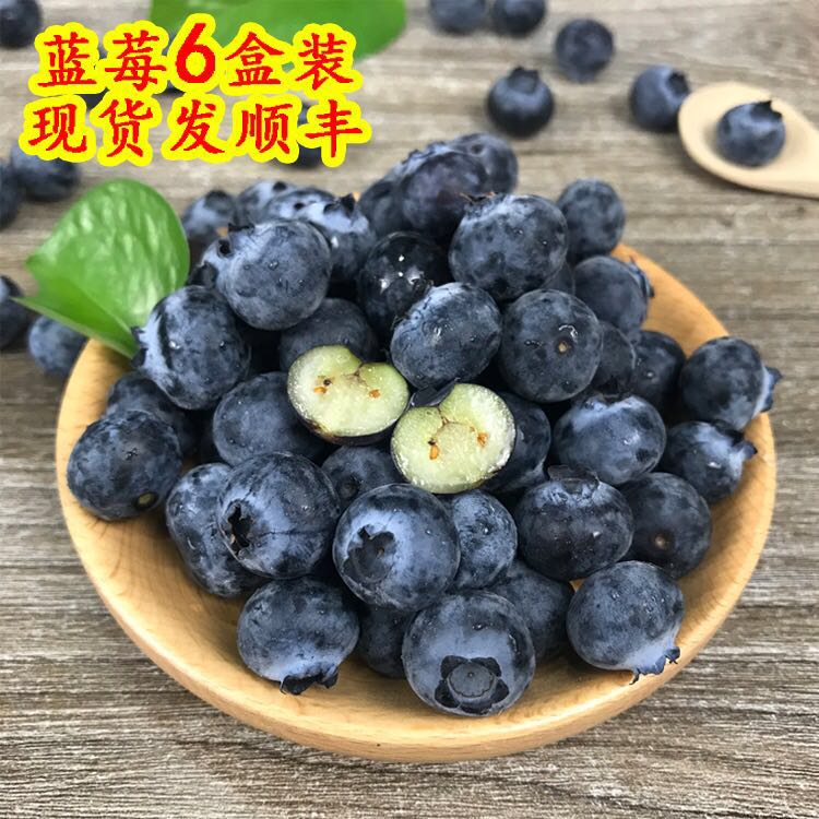 北京房山蓝莓6盒装