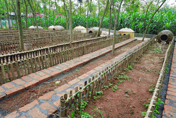 龟兔赛跑,谁输谁赢