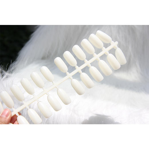 美甲凹型白色甲片 练习甲片色卡甲片 商品图1