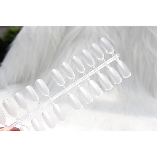 凹型透明甲片 练习甲片色卡甲片 商品图0