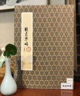 雅书琴颂中国画特制生宣册页