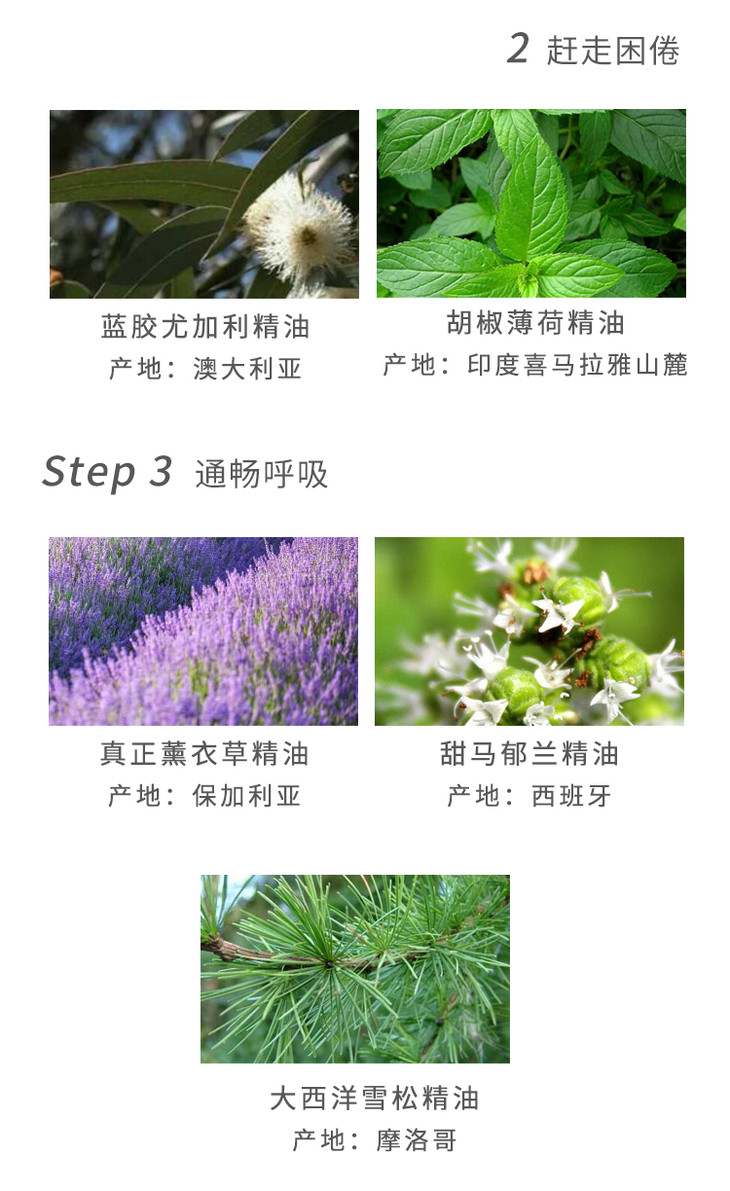 【她的植物园】清新复方精油香薰 10ml