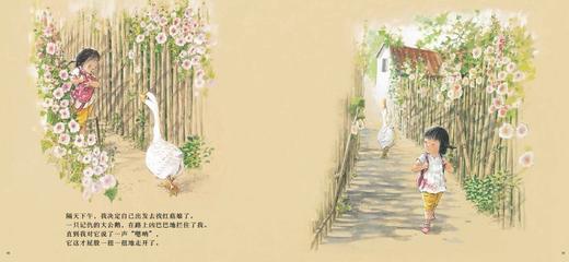 海豚 红菇娘 彭懿 3-4-5-6岁儿童绘本 正版 商品图3
