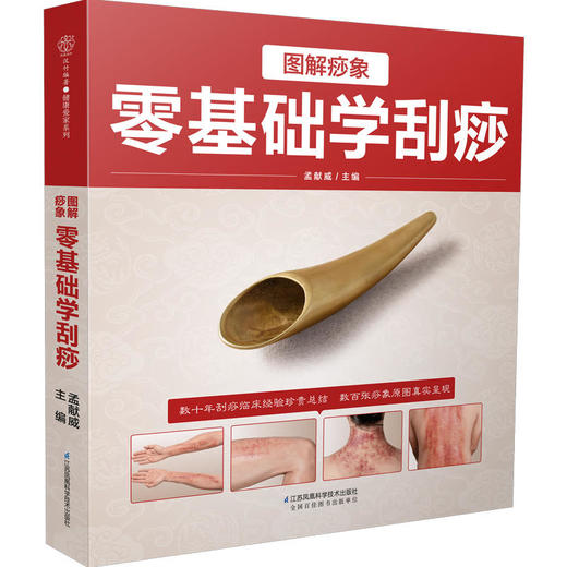 图解痧象 零基础学刮痧（汉竹） 商品图0
