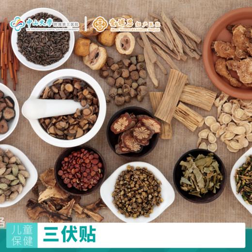 三伏贴，冬病夏治，调理机体 商品图0