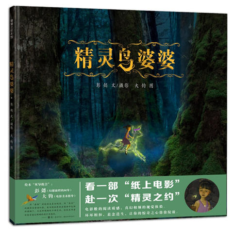 蒲蒲兰 精灵鸟婆婆  彭懿 3-4-5-6岁儿童绘本 正版 商品图0