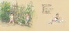 海豚 红菇娘 彭懿 3-4-5-6岁儿童绘本 正版 商品缩略图2