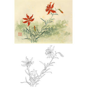 俞致贞工笔花鸟白描底稿-花卉《山丹丹》-斗方小品册页-JV48