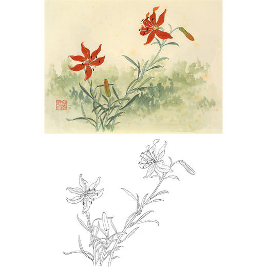 俞致贞工笔花鸟白描底稿-花卉《山丹丹》-斗方小品册页-JV48 商品图0