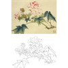 俞致贞工笔花鸟白描底稿-芙蓉花《木芙蓉》-斗方小品册页-JV47 商品缩略图0