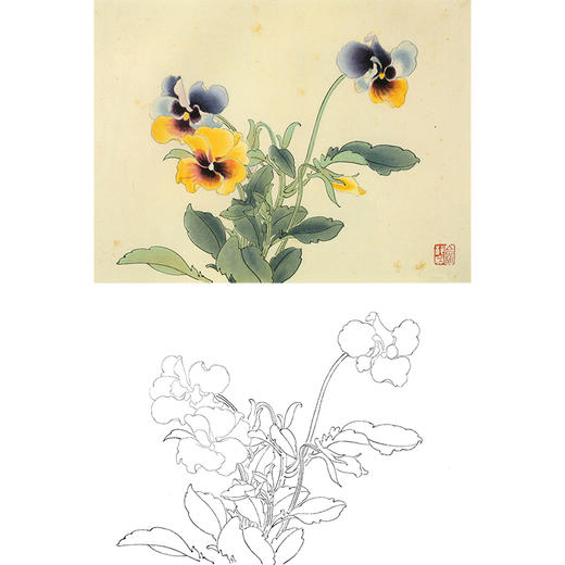 俞致贞工笔花鸟白描底稿-花卉《三色堇》-斗方小品册页-JV52 商品图0