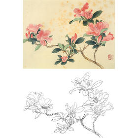 俞致贞工笔花鸟白描底稿-花卉杜鹃花-斗方小品册页-JV53