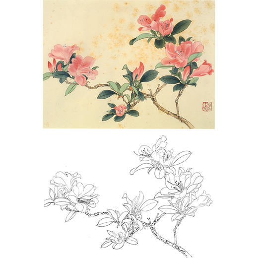俞致贞工笔花鸟白描底稿-花卉杜鹃花-斗方小品册页-JV53 商品图0
