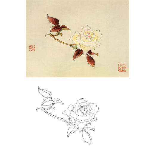 俞致贞工笔花鸟白描底稿-花卉月季花-斗方小品册页-JV58 商品图0